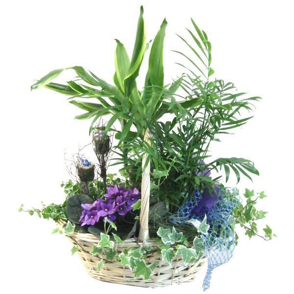 Picture of cesta de plantas