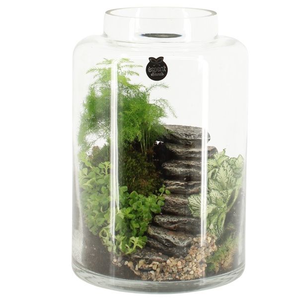 Picture of botanical collectables - jardim EDEN