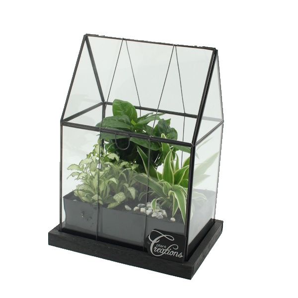 Picture of mini estufa